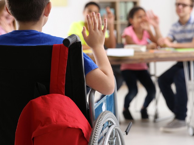 Contributi economici per il servizio di trasporto scolastico in favore di studenti con disabilità grave