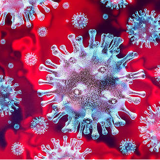 emergenza coronavirus buoni spesa